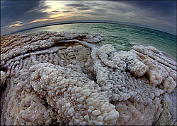 ̸����� ����, ��������