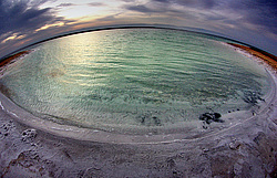 ̸����� ����, ��������