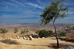 ̸����� ����, ���� ����, ������ ������ ��������� ����������� �����, ��������