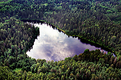 �������� �������, ������ ������� ��� � ������������ ����� �������