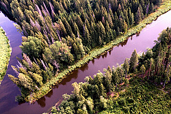 �������� �������, ������ ������� ��� � ������������ ����� �������