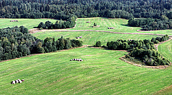 �������� �������, ������ ������� ��� � ������������ ����� �������