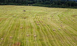 �������� �������, ������ ������� ��� � ������������ ����� �������