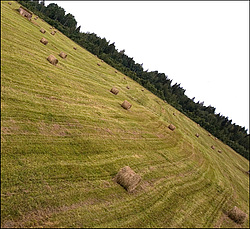 �������� �������, ������ ������� ��� � ������������ ����� �������