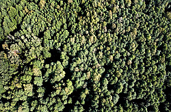 �������� �������, ������ ������� ��� � ������������ ����� �������