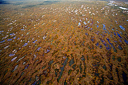 �������� �������, ������ ������� ��� � ������������ ����� �������