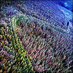 �������� �������, ������ ������� ��� � ������������ ����� �������