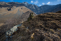 ���������� �������, ������