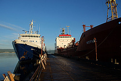 ��������, ���� � ������ ������ �����������