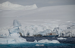 ������� ������ ����� ����������