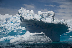 ������� ������ ����� ����������