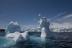 ������� ������ ����� ����������