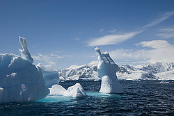 ������� ������ ����� ����������