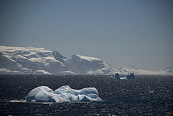 ������� ������ ����� ����������