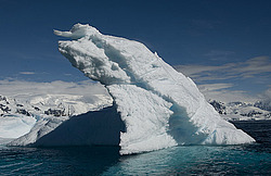 ������� ������ ����� ����������