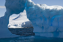 ������� ������ ����� ����������