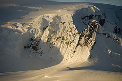 ���� ���������� � ������ ������ ������������