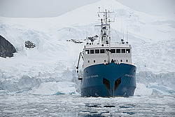 �������� ��������� ��������