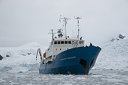 �������� ��������� ��������