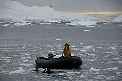 ������� � ����������, �������