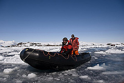 ������� � ����������, �������