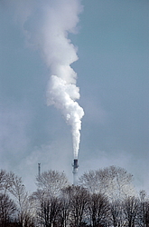 ������. �����-���������� �����������. ���� ��� �������