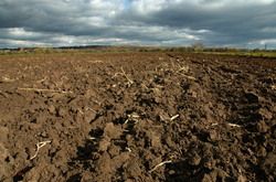 ������� "����� ���������", �����������