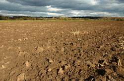 ������� "����� ���������", �����������