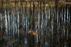 ������� "����� ���������", �����������