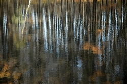 ������� "����� ���������", �����������