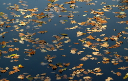 ������� "����� ���������", �����������