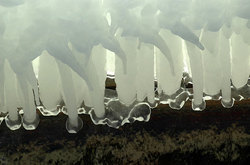 ��� � ����