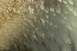 ��� � ����