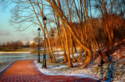 ������� ��������. ������