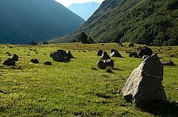 ������������, ����