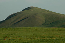 ���������, ������ 2008