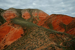 ���������