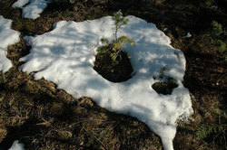 ����� � ��������� ����. ������� ������ �� ������ � ������ �������