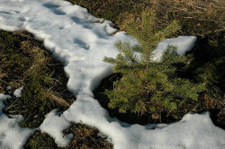 ����� � ��������� ����. ������� ������ �� ������ � ������ �������