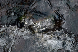 ������ �����