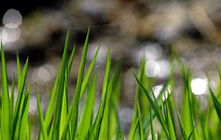 ����� � ��������� ����. ������� ����� � ����� ������