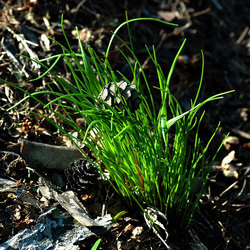 ����� � ��������� ����. ������� ����� � �����