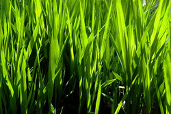 ����� � ��������� ����. ������� ����� � ����� ������