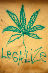 ������� �����-����������