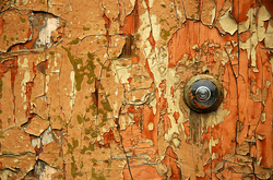 ������� �����-����������