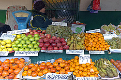 ������, ����� ���������. ������ �����. �������� � ��������.