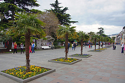 �������� ����������,  ����.  ���������� ������-������� ����.