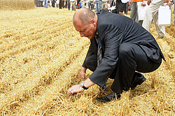 ������, ������������� ����, ������� �����. ���� ���� � ������ �������������������� �������� 