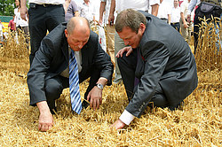 ������, ������������� ����, ������� �����. ���� ���� � ������ �������������������� �������� 