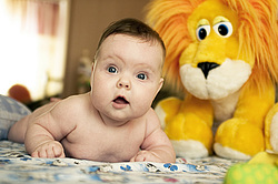  ������, ������������� ����, ����� ���������. ������� � ���. ������� �������.